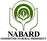 nabard notification apply online  admit card result