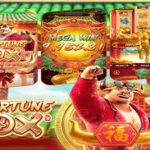 An In-Depth Review of 881x Bet Your Ultimate Betting Experience