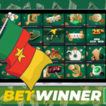 Tout savoir sur Betwinner Bookmaker  Guide complet
